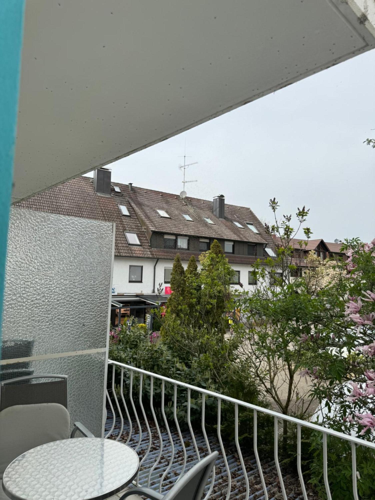See-Hotel Seeschau - Direkt Am Bodenseeufer Reichenau Eksteriør bilde