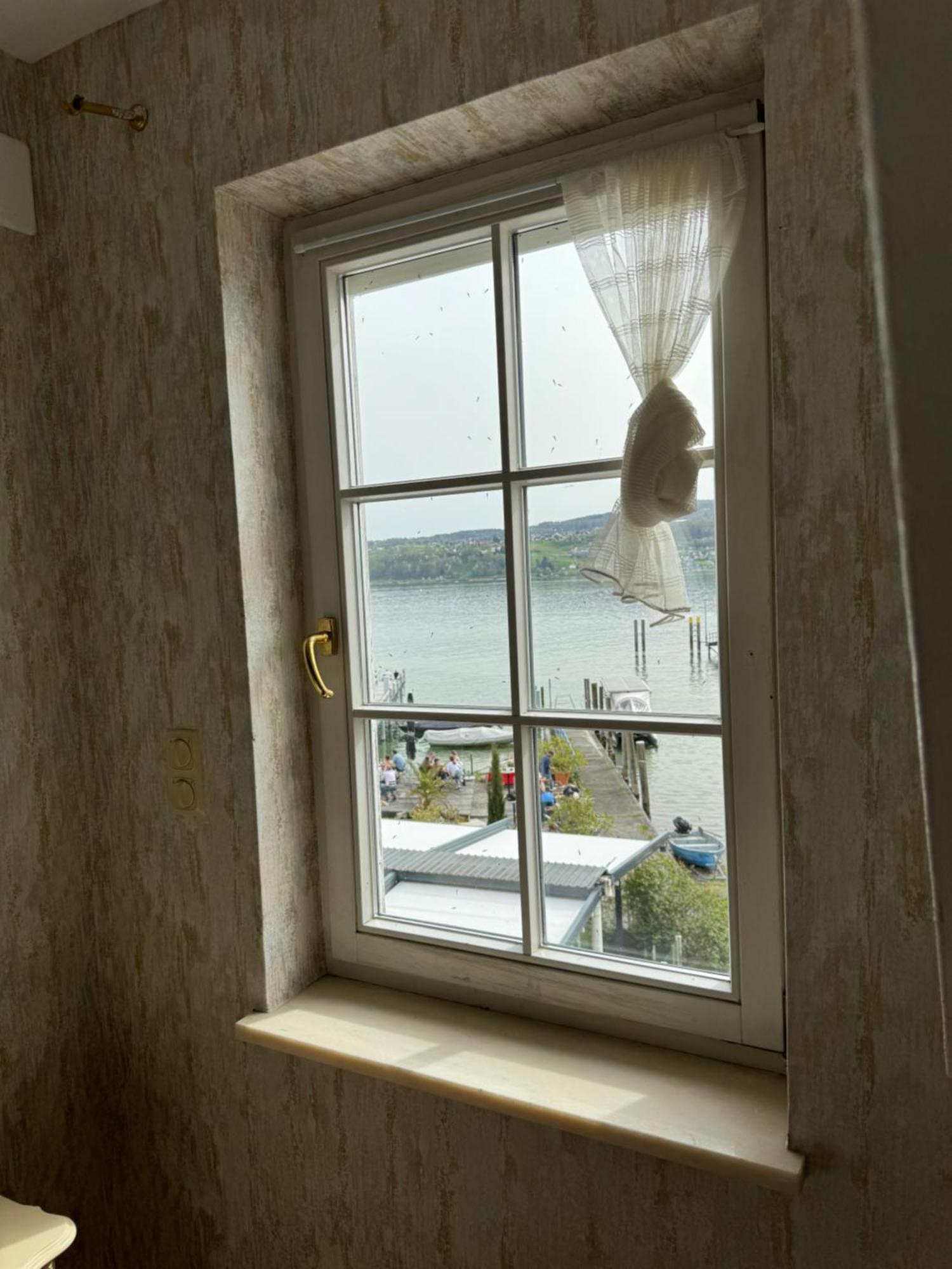 See-Hotel Seeschau - Direkt Am Bodenseeufer Reichenau Eksteriør bilde