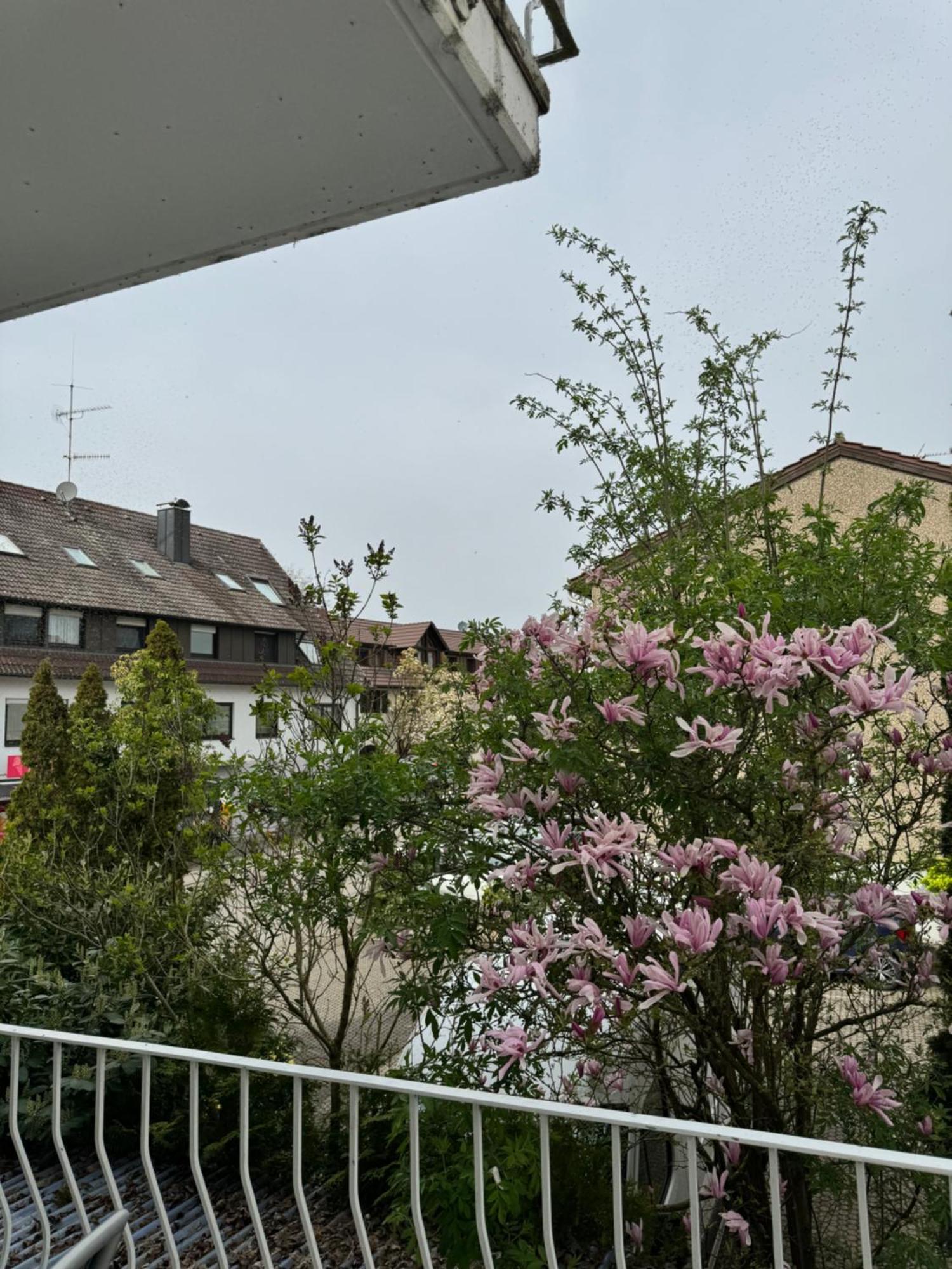 See-Hotel Seeschau - Direkt Am Bodenseeufer Reichenau Eksteriør bilde